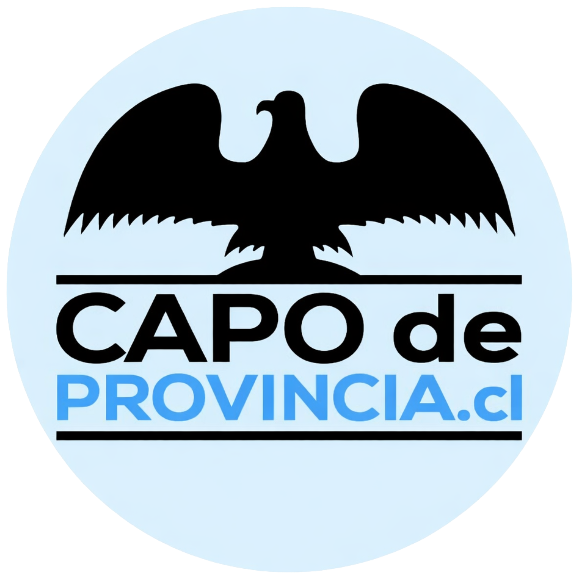 Capo de Provincia